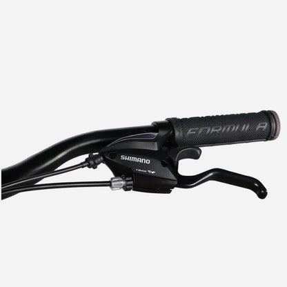 Гірський велосипед Formula MOTION 29" алюмінієва рама 19"