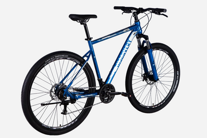 Гірський велосипед Discovery TREK 29" сталева рама 21" синьо-сріблястий