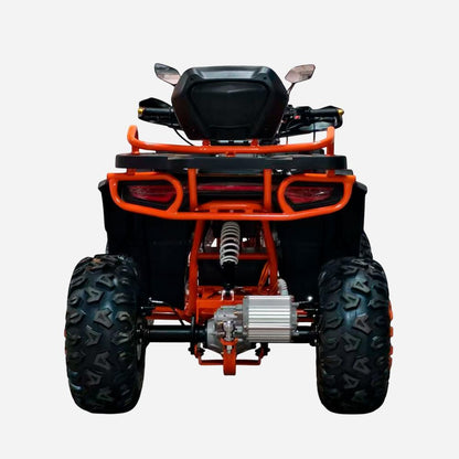 Електроквадроцикл SPARK HORNET із заднім багажником, вигляд ззаду