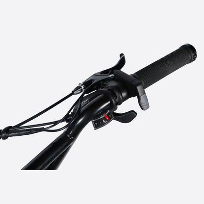 Електровелосипед Dorozhnik ADAMANT DD FR 20" алюмінієва рама 18,5", 500W 48V 17.5Ah, до 70 км, до 34 км/год