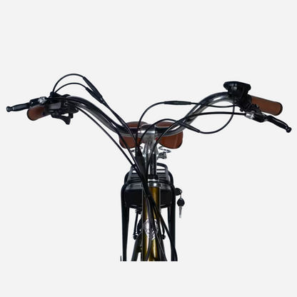 Електровелосипед Dorozhnik eCORAL DD FR 28" алюмінієва рама 19", 500W 48V 13Ah, до 50 км, до 29 км/год