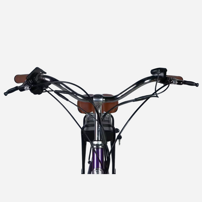 Електровелосипед Dorozhnik eCORAL DD FR 28" алюмінієва рама 19", 500W 48V 13Ah, до 50 км, до 29 км/год