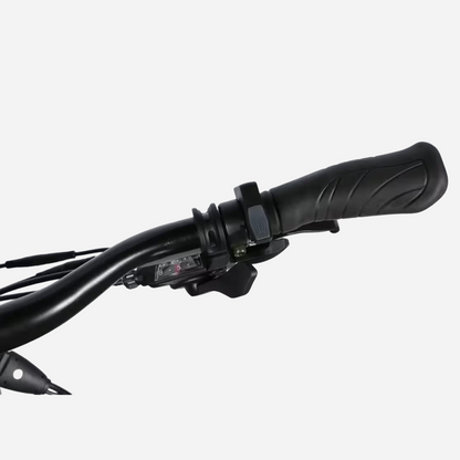 Електровелосипед Formula eCURSOR MAN 29" алюмінієва рама 19", 500W 48V 17.5Ah, до 65 км, до 38 км/год