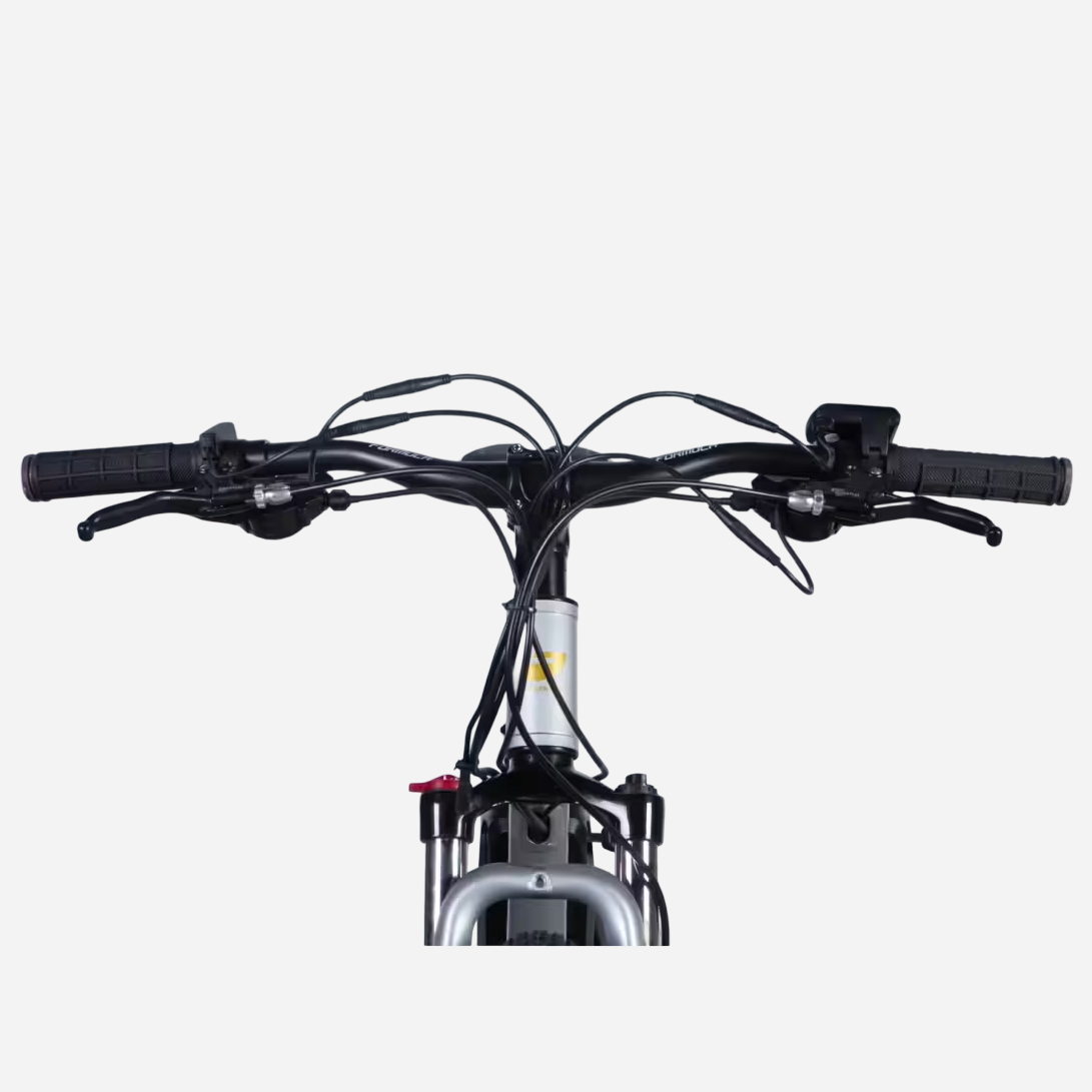 Formula eF-1 DD CS — кермо Formula 680 мм з ручками гальм, манетками Shimano SL-M315 та дисплеєм керування, вигляд спереду