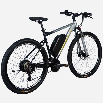 Formula eF-1 DD CS 29" — вигляд ззаду збоку, трансмісія 24 швидкості Shimano, дисковий гальмо