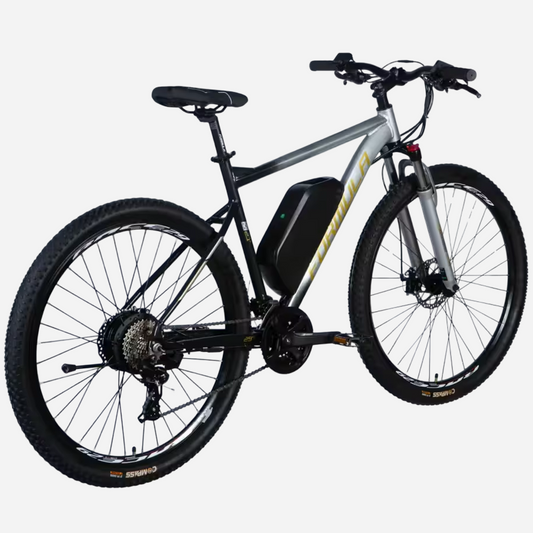 Formula eF-1 DD CS 29" — вигляд ззаду збоку, трансмісія 24 швидкості Shimano, дисковий гальмо