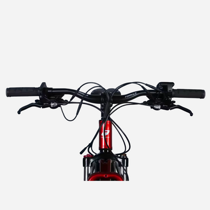 Електровелосипед Formula eF-1 DD CS 29" алюмінієва рама 21", 500W 48V 12.5Ah, до 50 км, до 38 км/год