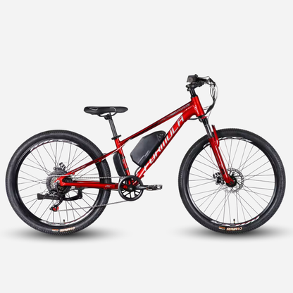Електровелосипед Formula eMOTION DD FR 26" алюмінієва рама 13", 500W 36V 10Ah, до 20 км, до 27 км/год