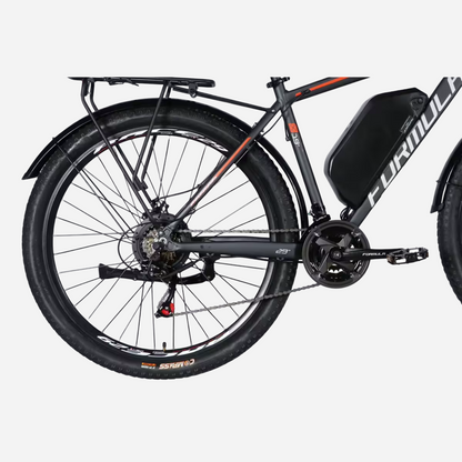 Formula eMOTION PLUS 29" — задня трансмісія Shimano 21 швидкість, акумулятор 48В на рамі та багажник