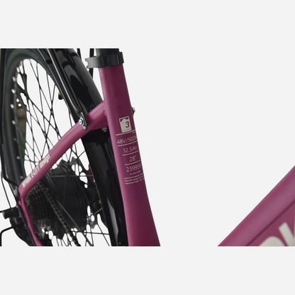 Spark E-CITY EASY WAY 28" — технічна наклейка на рамі: 48V/500W, 12,5Ah, 28", SKU 239959