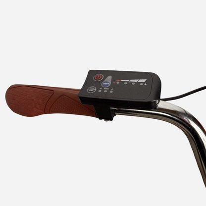Titan Neapol 26 — дисплей з кнопками живлення, підсвітки та режимів assist
